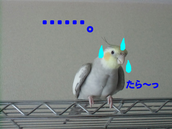 行き場のないワキワキ