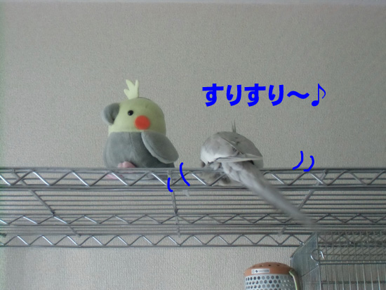 スリスリ