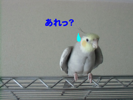 あれっ