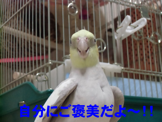 自分にご褒美だったのか