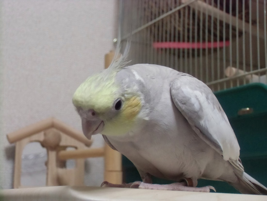 何をしているの~?