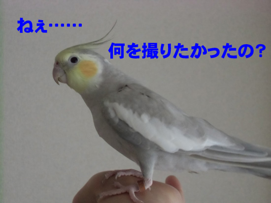 あはは^^;