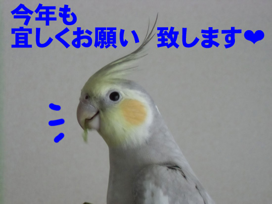 宜しくお願い致します