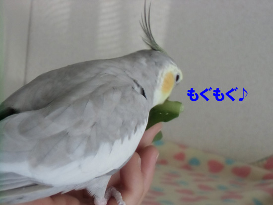 風~