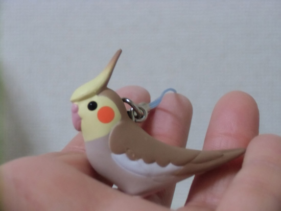 シナモンちゃん♪