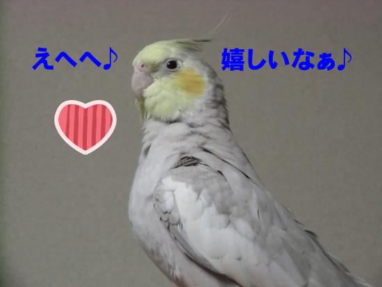 嬉しいね、風(~o~)