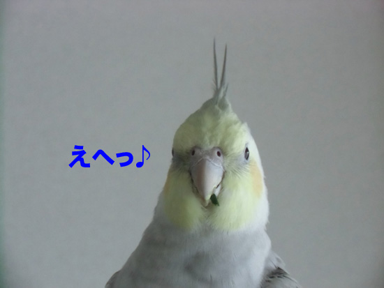 ご機嫌な顔