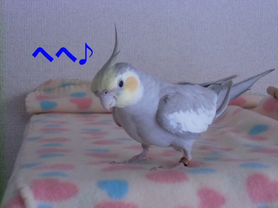 ご機嫌♪