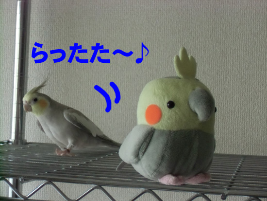 らったた~♪