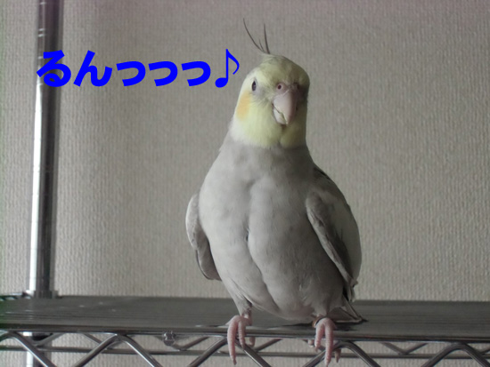ご機嫌だね