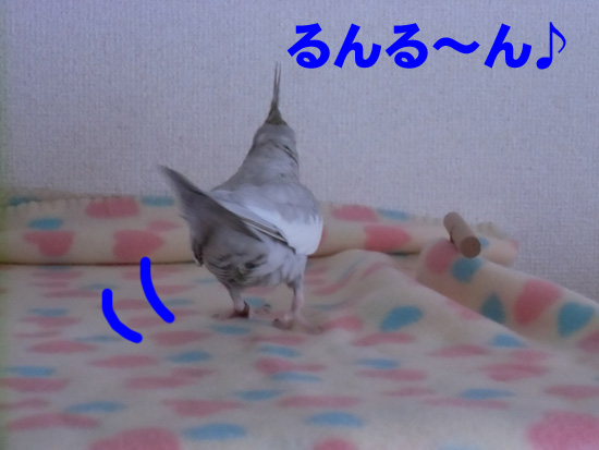 おちり♪