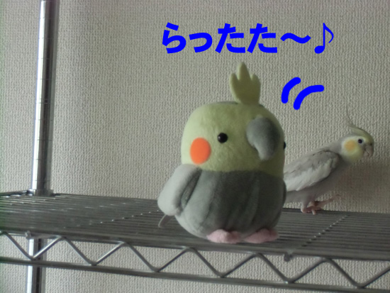 もう一丁、らったた~♪