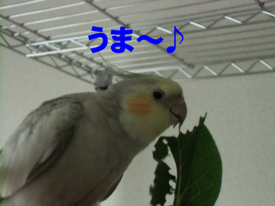 うま~♪なお顔