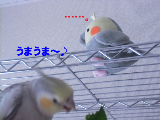 うまうま~