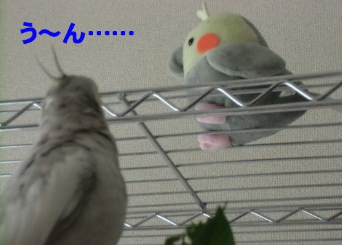 う~ん