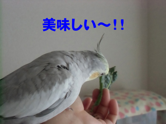夢中