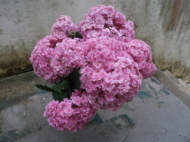 001_20130409211653.jpg