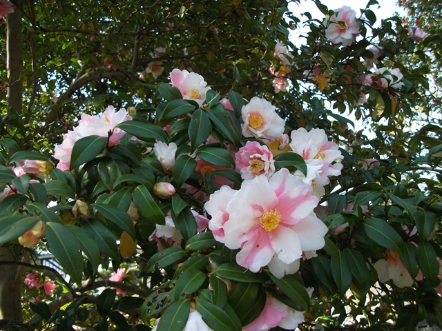 003_20130326132945.jpg