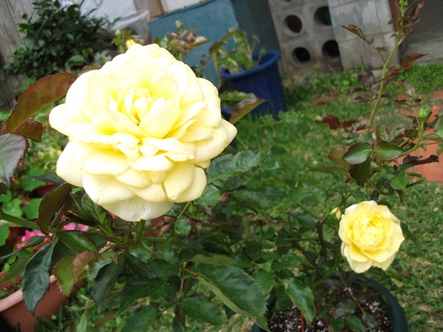 010_20130410203040.jpg