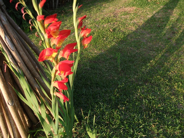 011_20130417233026.jpg