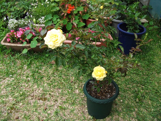 013_20130410203225.jpg