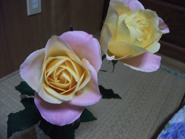 020_20130316214341.jpg