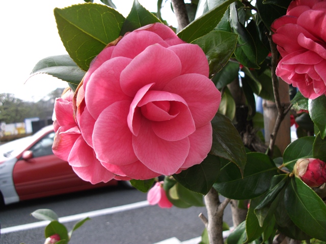 031_20130323114141.jpg