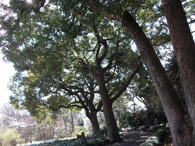 034_20130326133402.jpg