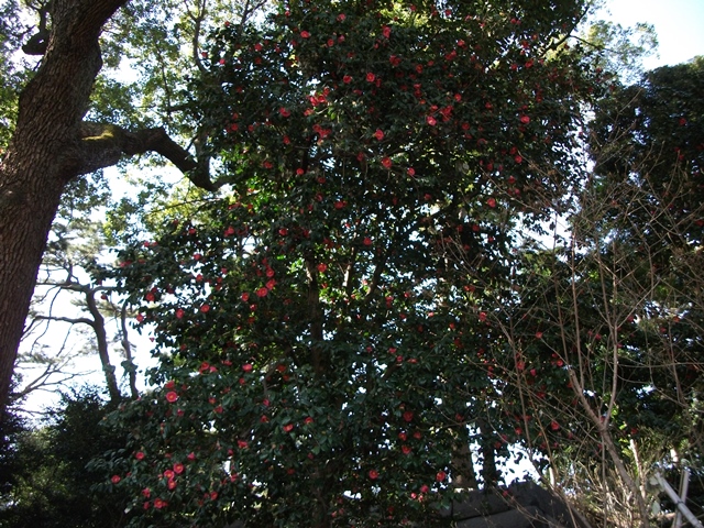 035_20130326133424.jpg