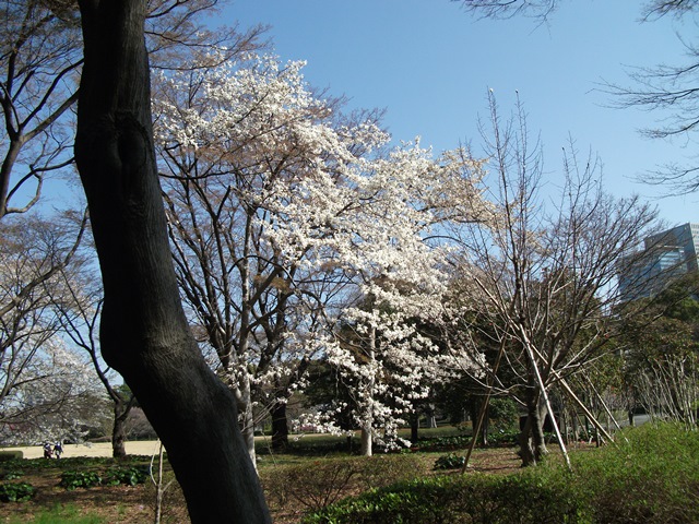 036_20130326133425.jpg