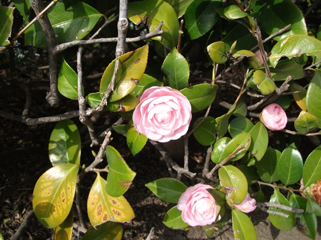038_20130323114234.jpg