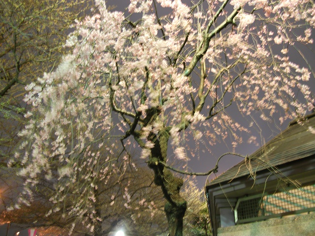 211_20130325102714.jpg