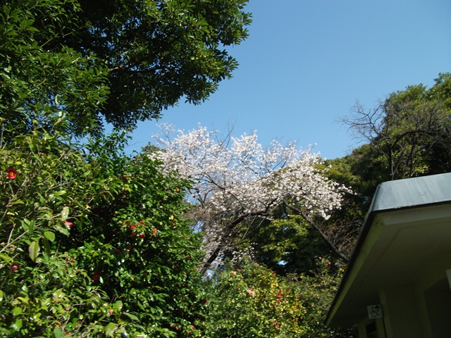 243_20130326011424.jpg