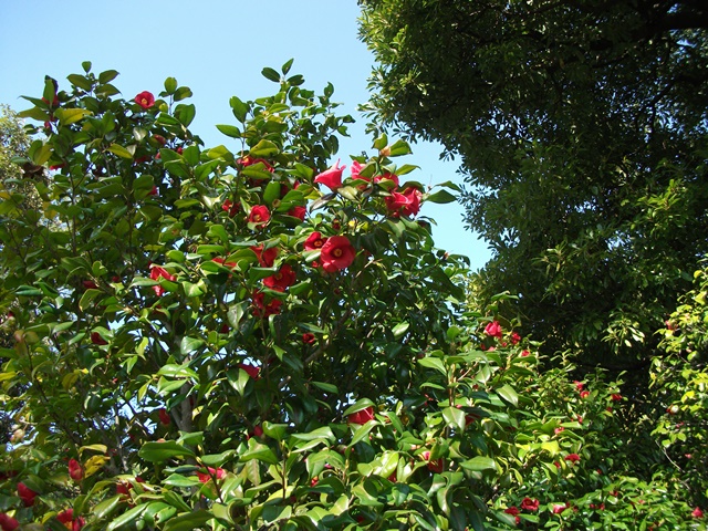 244_20130326011424.jpg