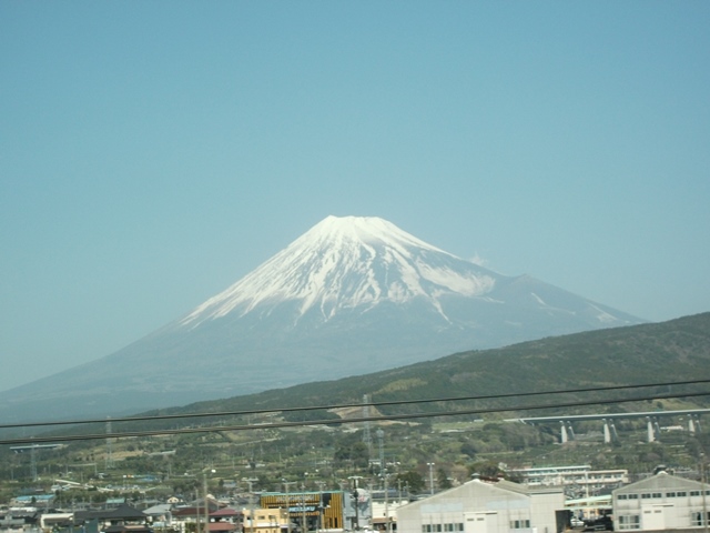 345.jpg