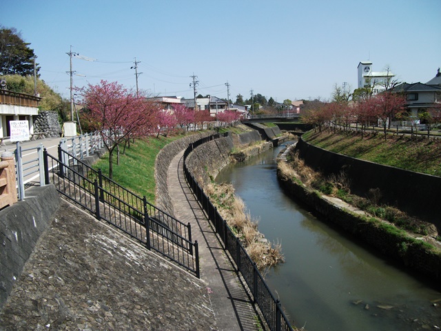 370.jpg