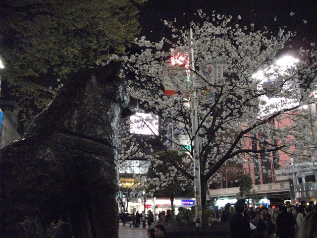 448_20130403231400.jpg