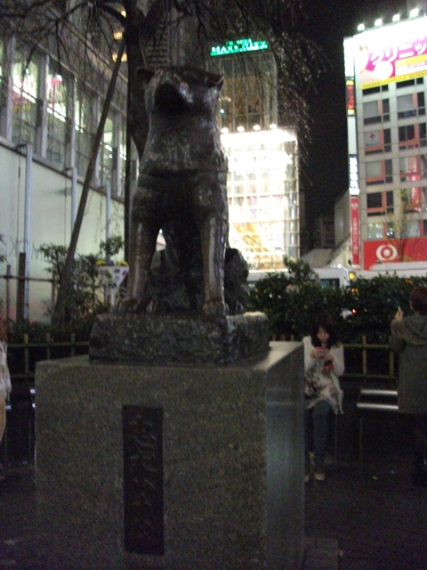 449_20130403231938.jpg