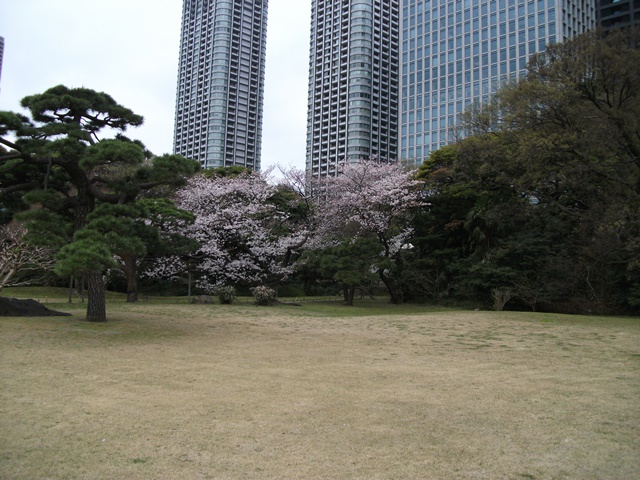 505.jpg