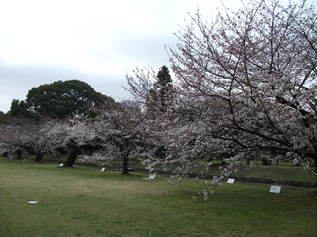 518.jpg