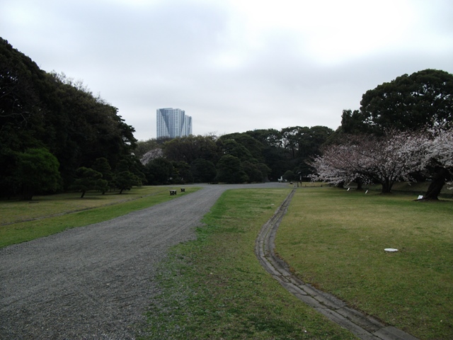 519.jpg