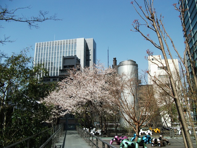 565_20130407232454.jpg