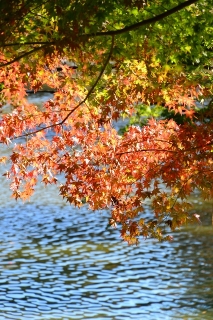岡崎市 東公園
