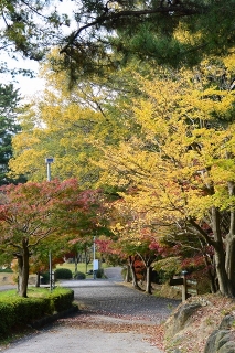 岡崎市 東公園