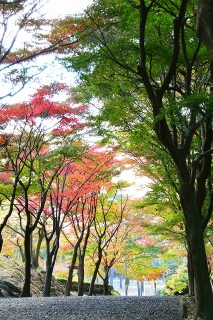 岡崎市 東公園