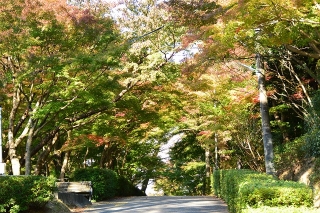 岡崎市 東公園