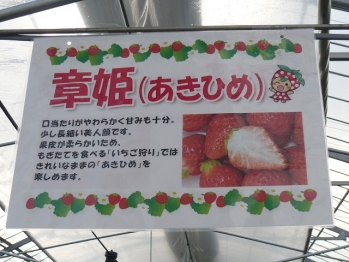 P1130558.jpg