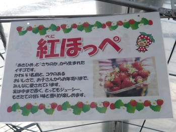 P1130559.jpg