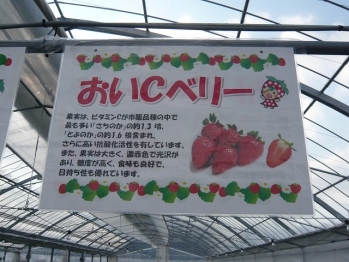 P1130560.jpg