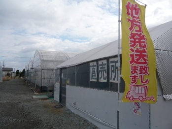 P1130633.jpg